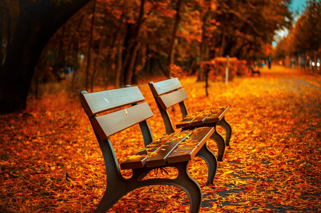 Fall Is Here – Time to Protect Your Spine and Nervous SystemBy Dr. Sebastian Poma, DC