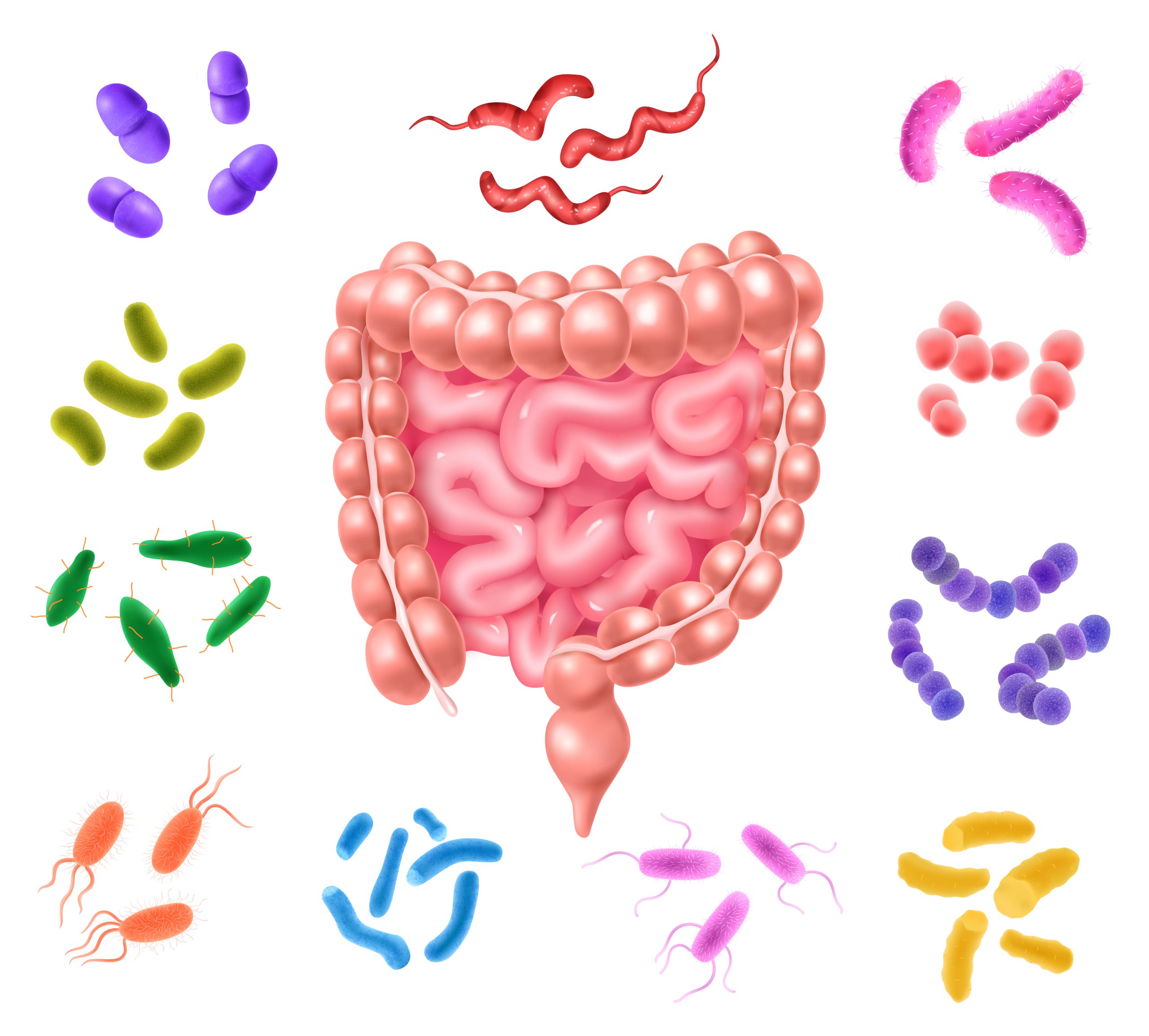 Parasites – Are They Real? Do I Have Them?