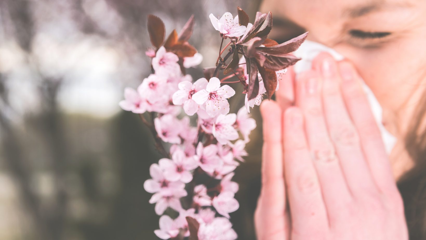 Why Spring Allergies Hit Hard and What Your Body Actually Needs